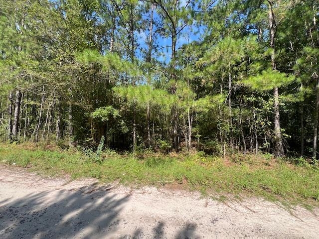 16653 Blountstown Highway