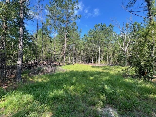 16653 Blountstown Highway