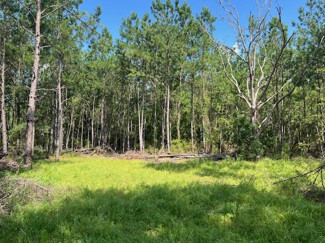 16653 Blountstown Highway