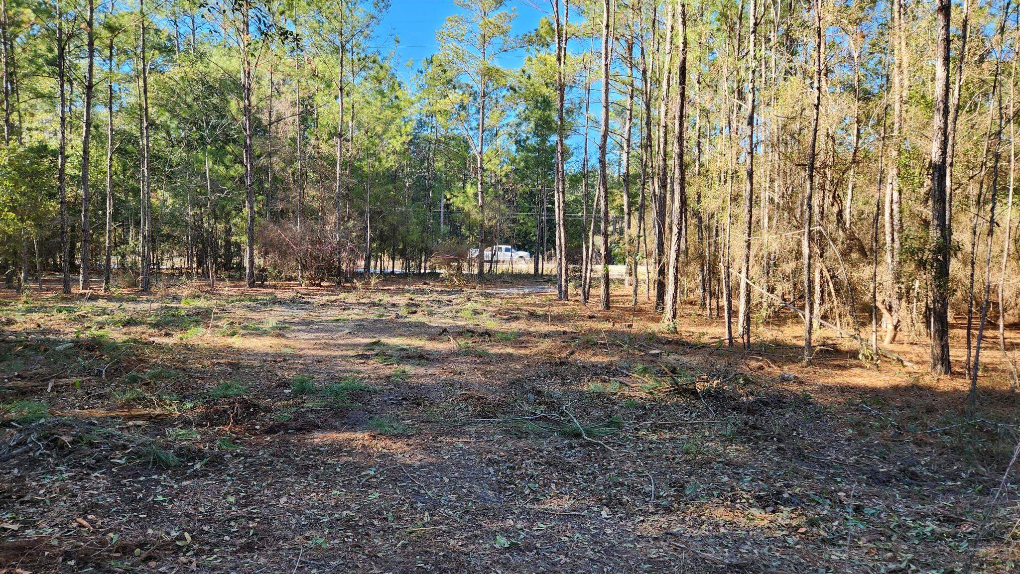 16653 Blountstown Highway