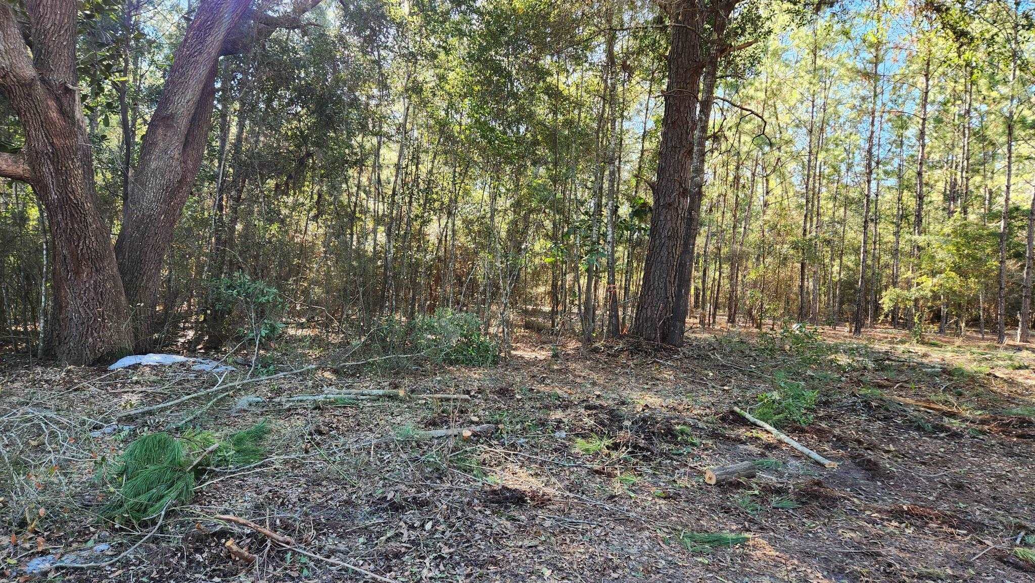 16653 Blountstown Highway