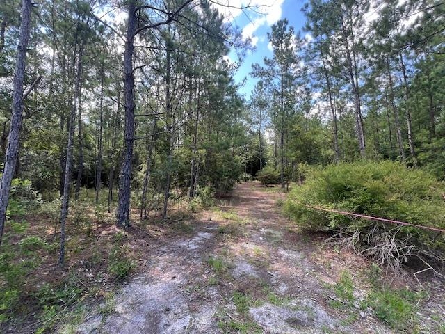 16653 Blountstown Highway