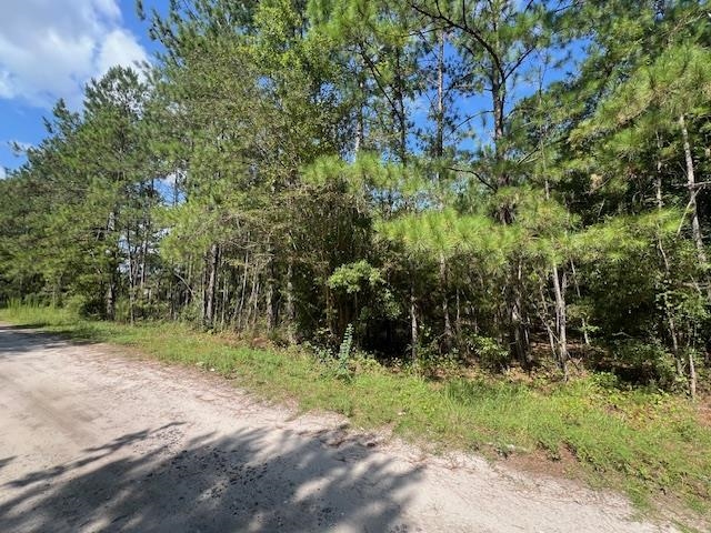 16653 Blountstown Highway