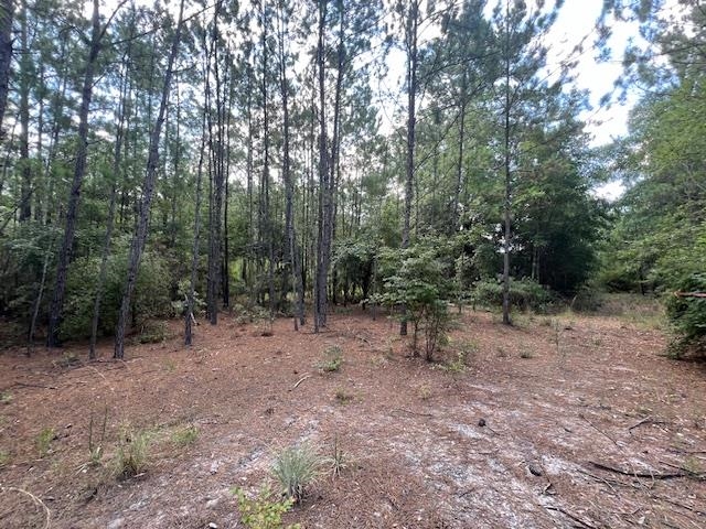 16653 Blountstown Highway