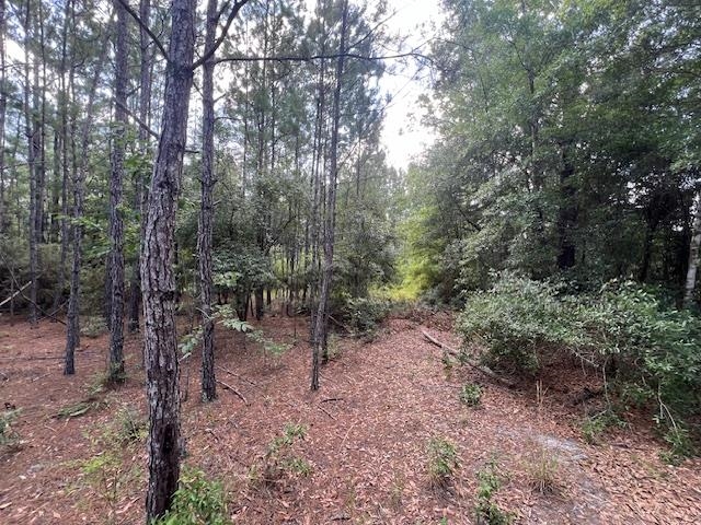 16653 Blountstown Highway