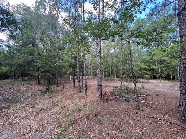 16653 Blountstown Highway