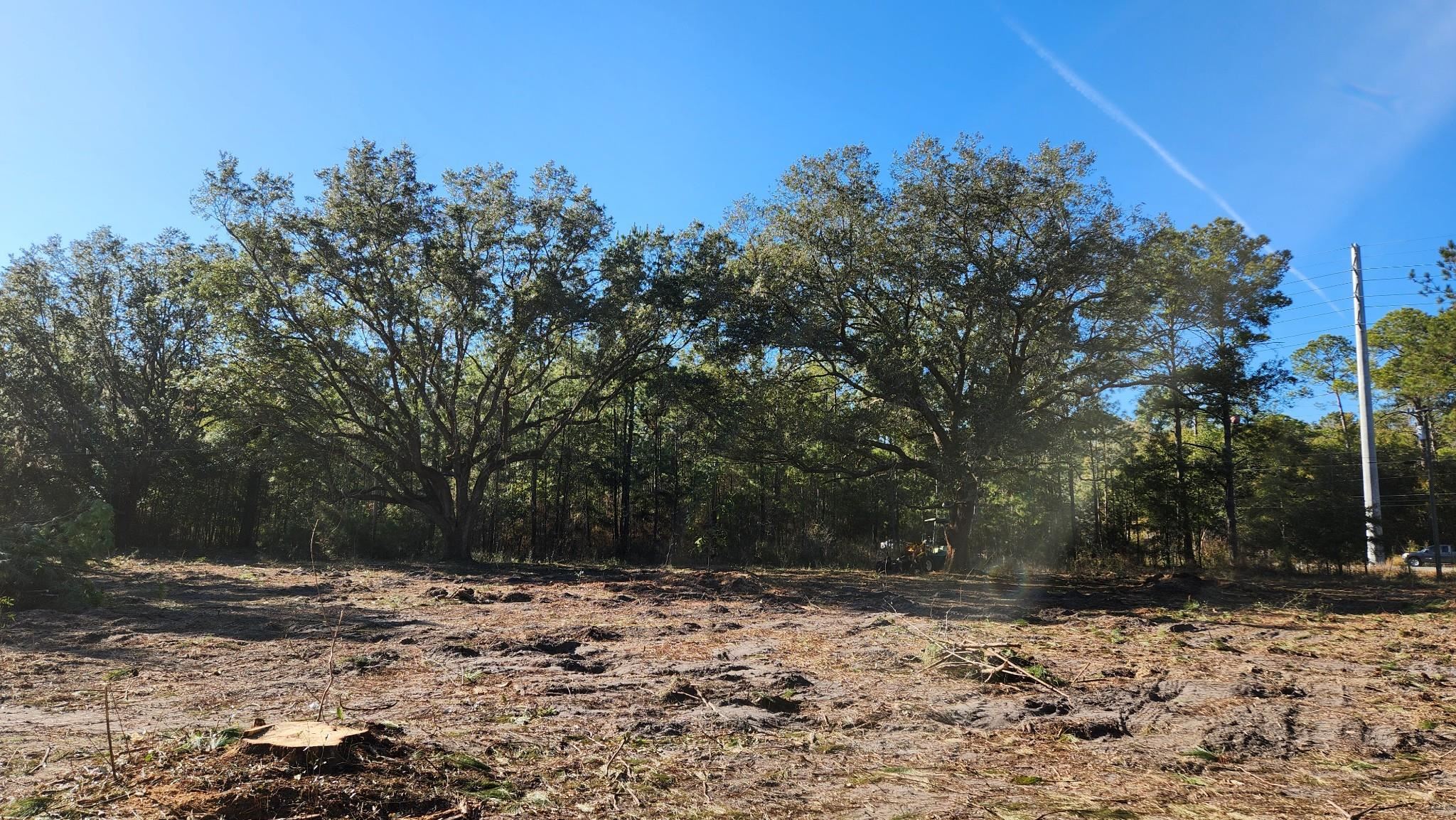 16653 Blountstown Highway