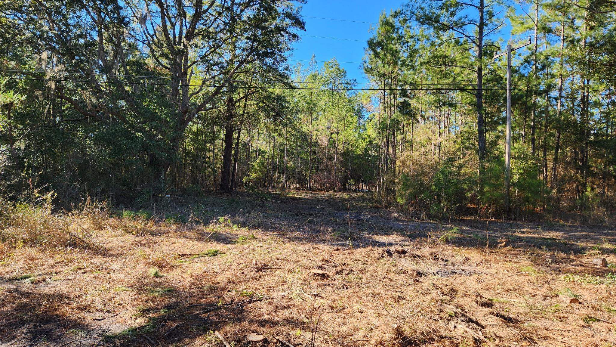 16653 Blountstown Highway