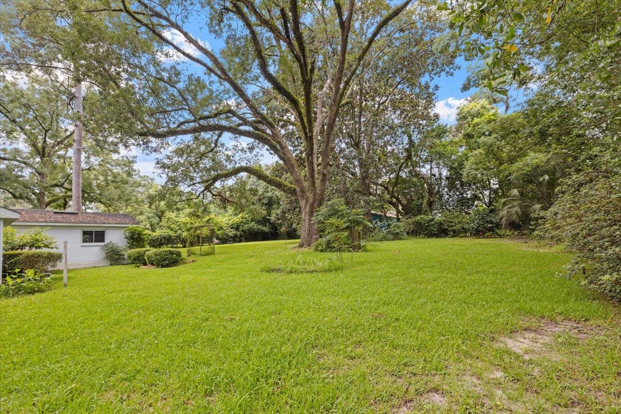 1924 Greenwood Drive