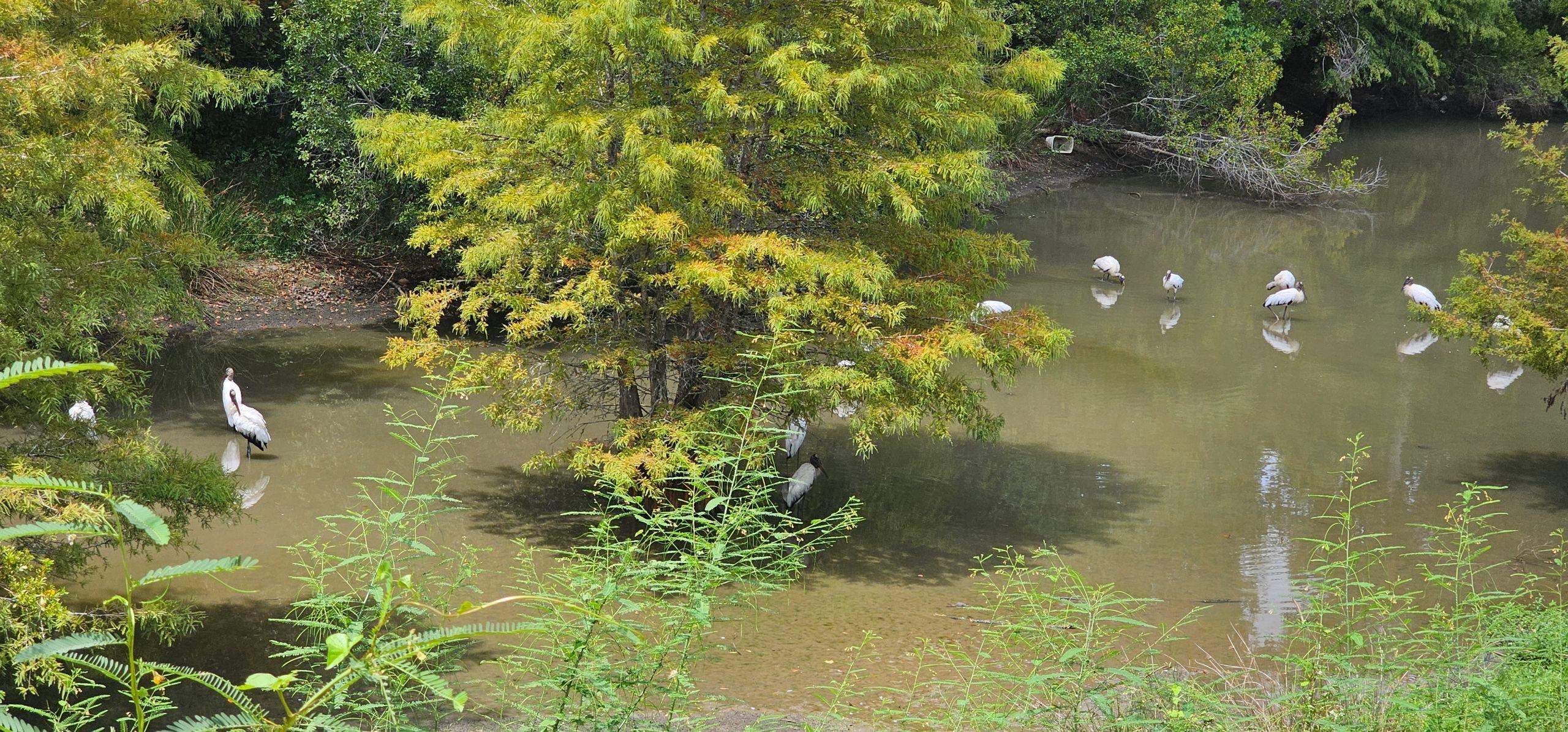 1956 Evanston Avenue Unit: 605