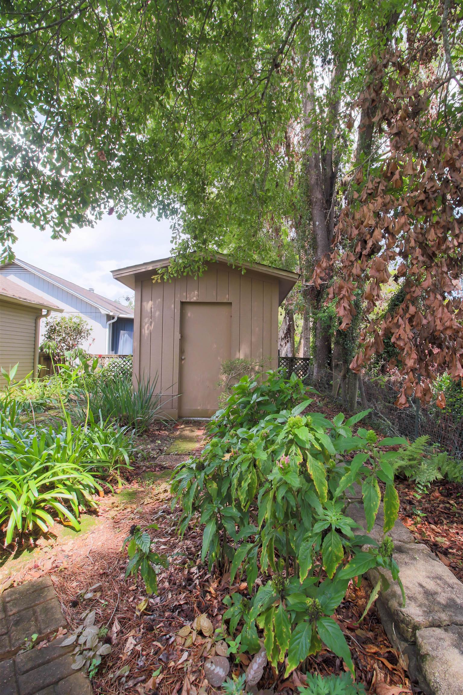 1561 Cinnamon Bear Circle