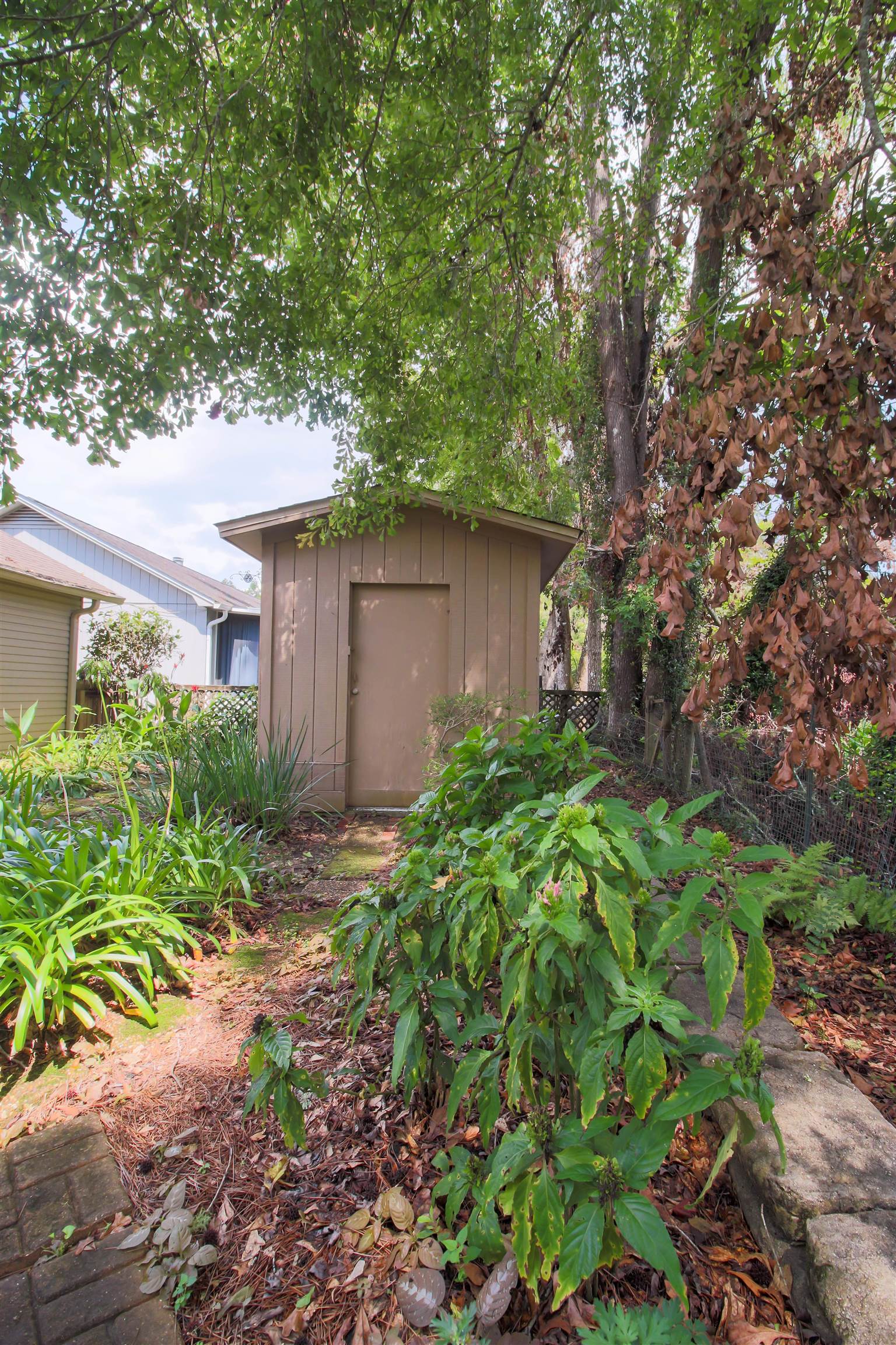 1561 Cinnamon Bear Circle