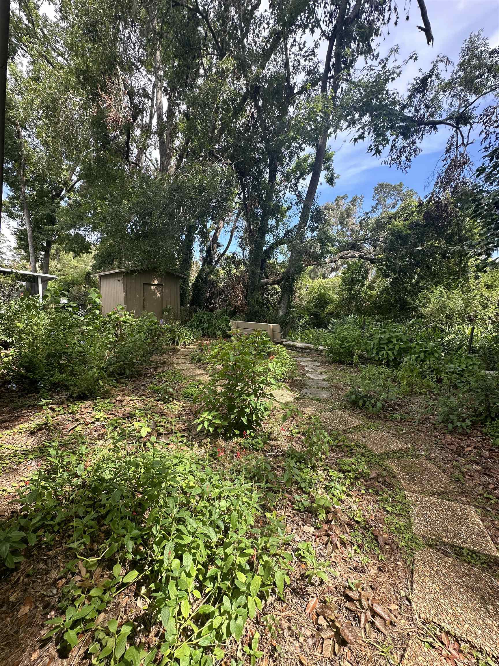 1561 Cinnamon Bear Circle