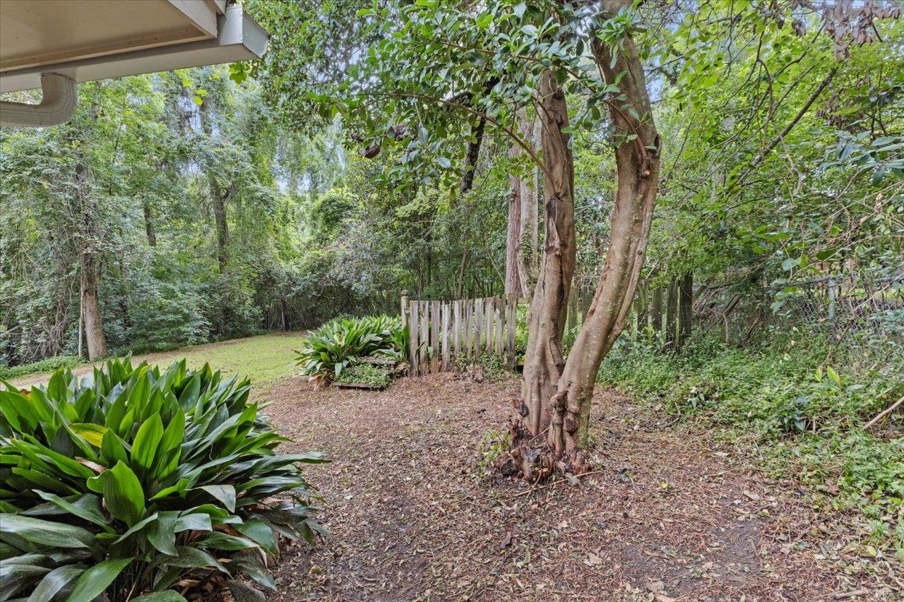 318 Talwood
