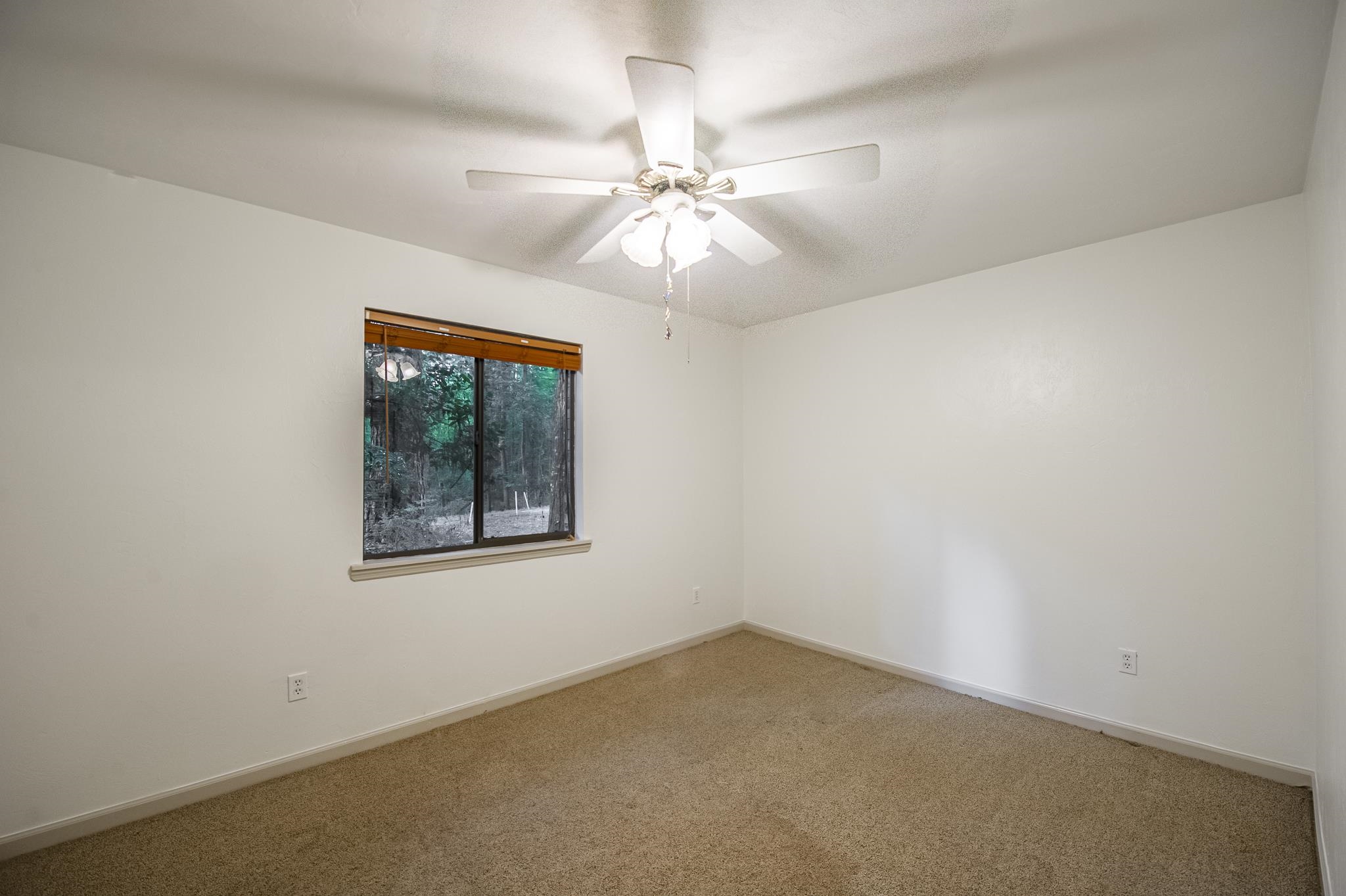 3504 Whirlaway Trail