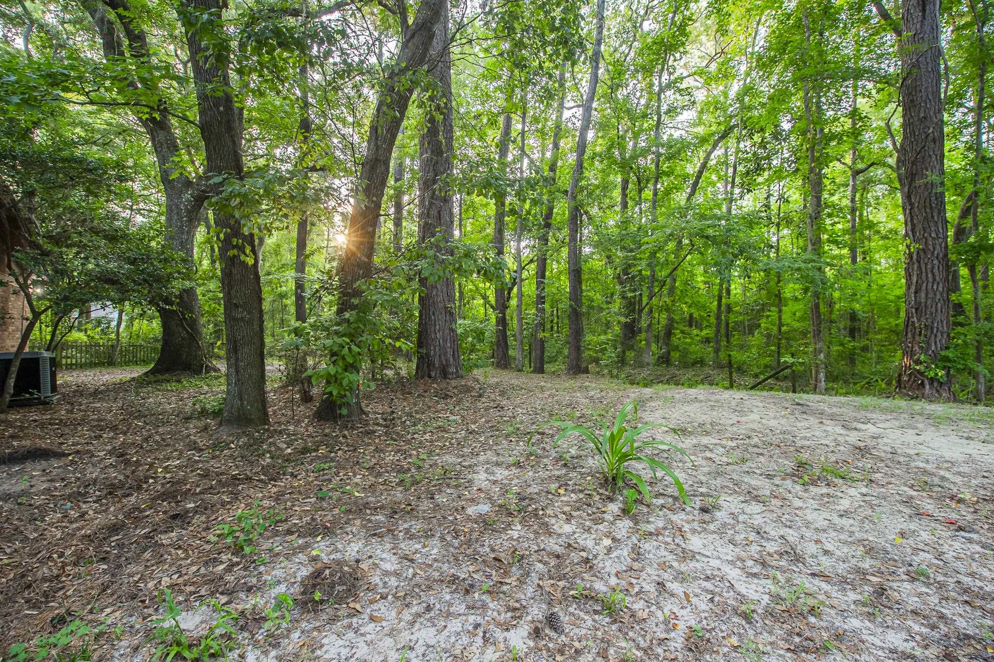 3504 Whirlaway Trail