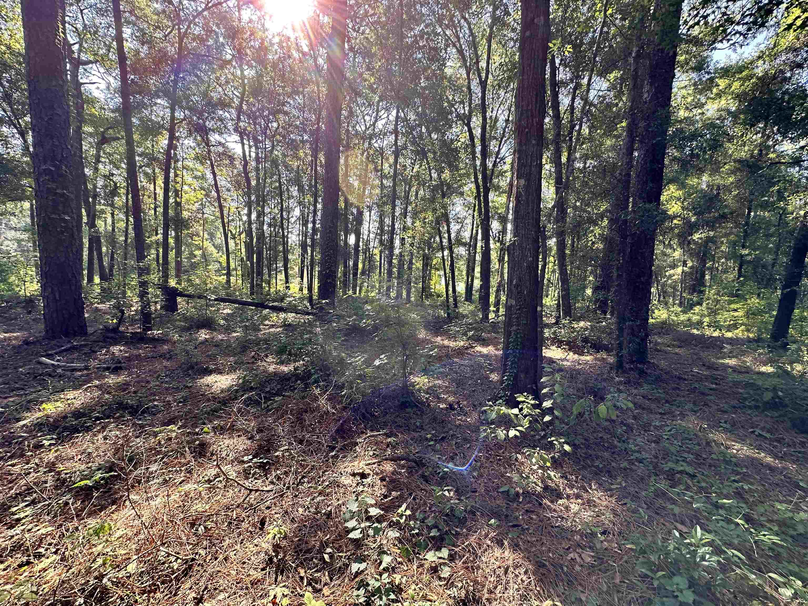 0 Bradfordville Road