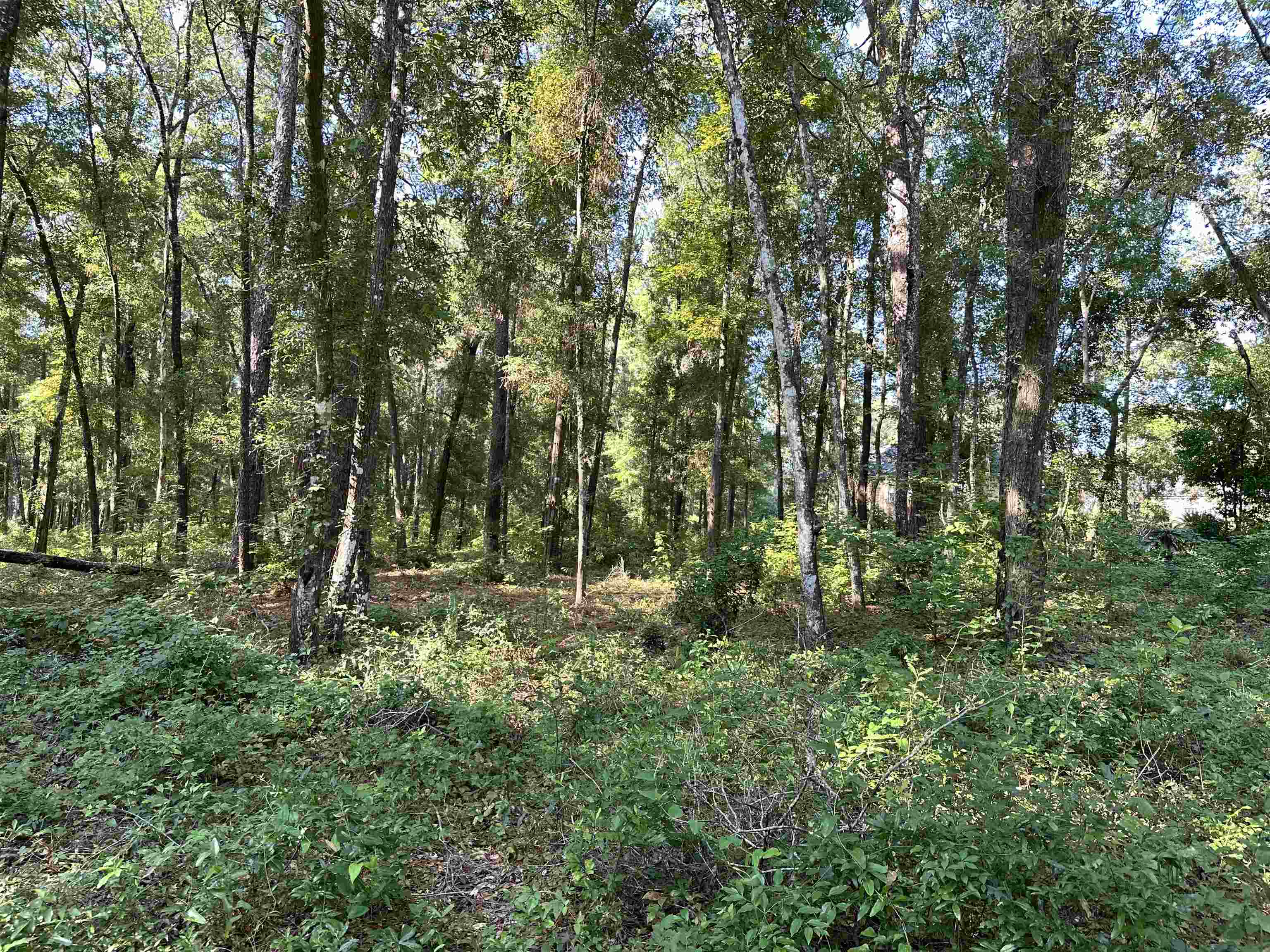 0 Bradfordville Road