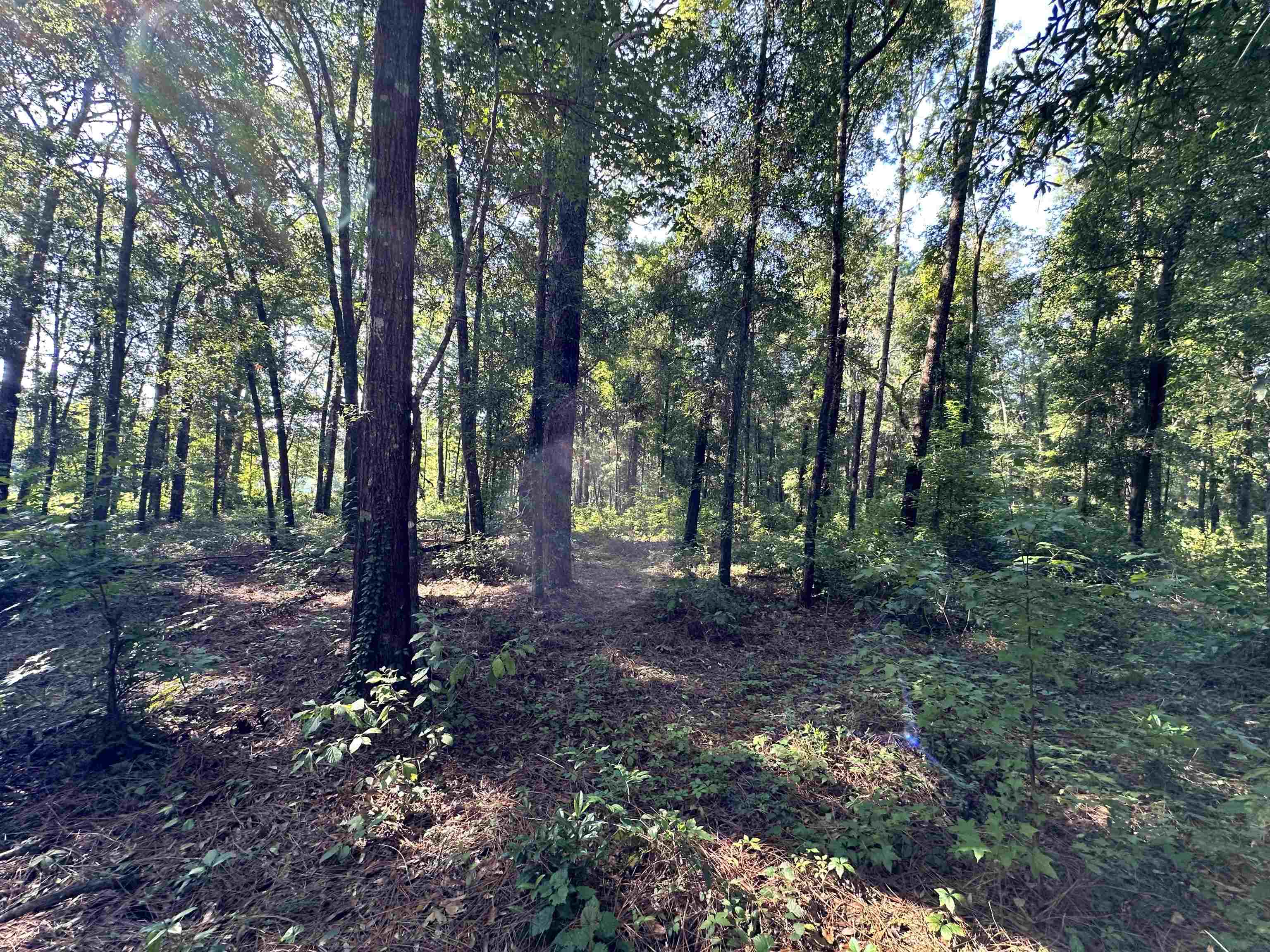 0 Bradfordville Road