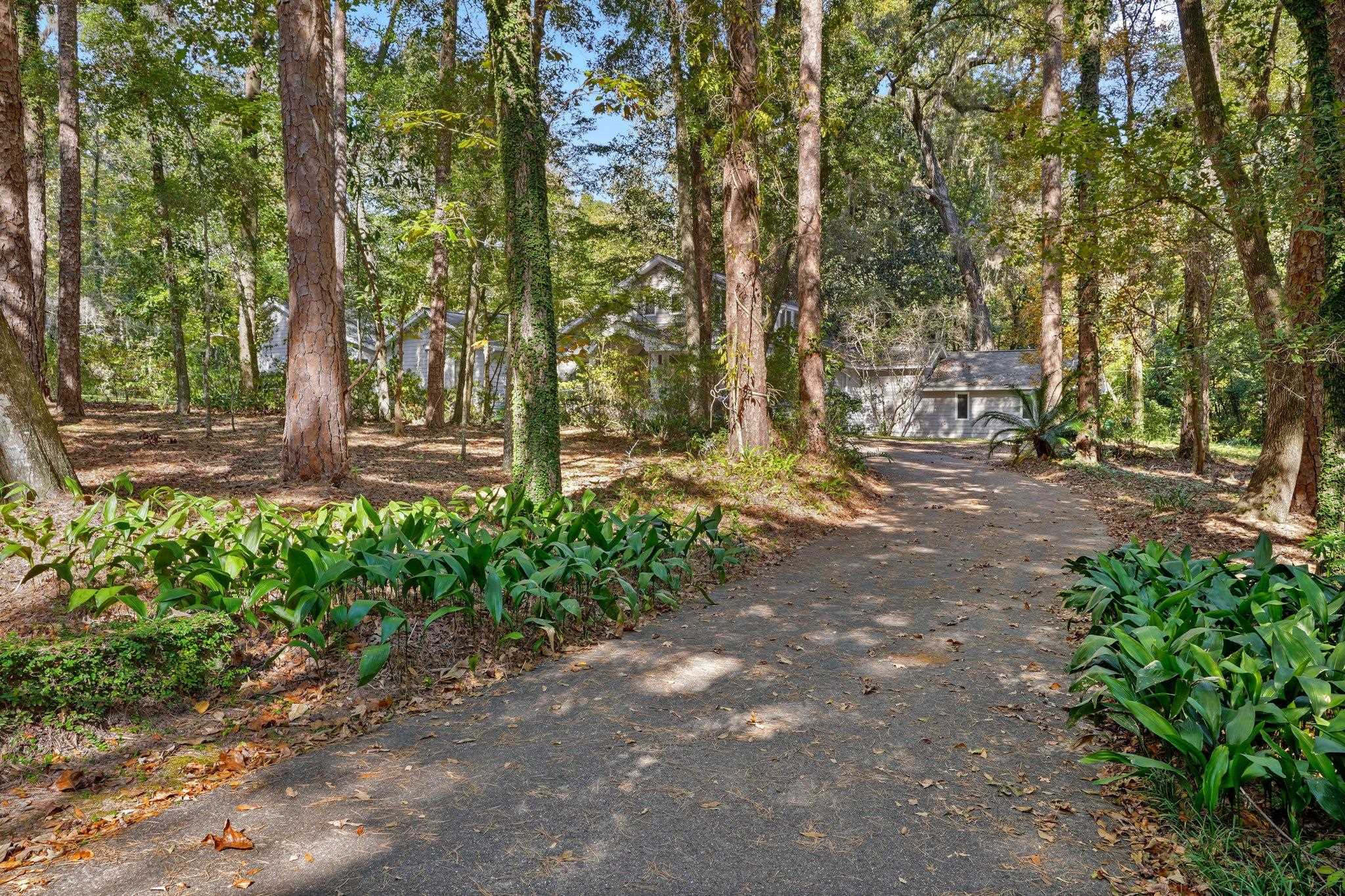 436 Audubon Drive