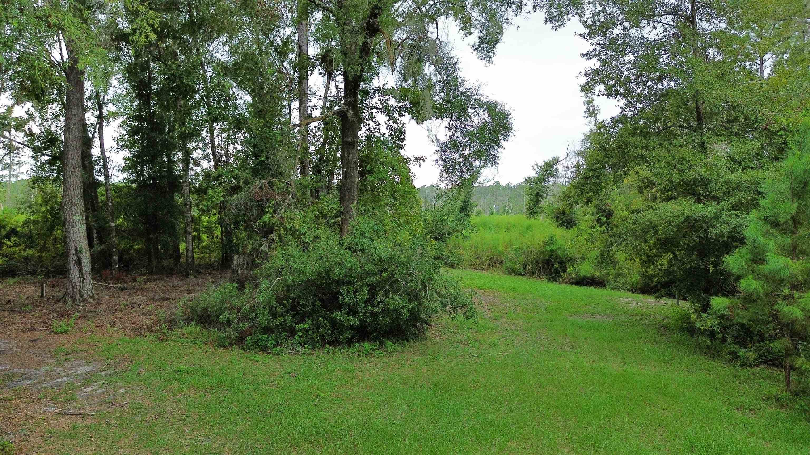 14190 Mt Gilead Road