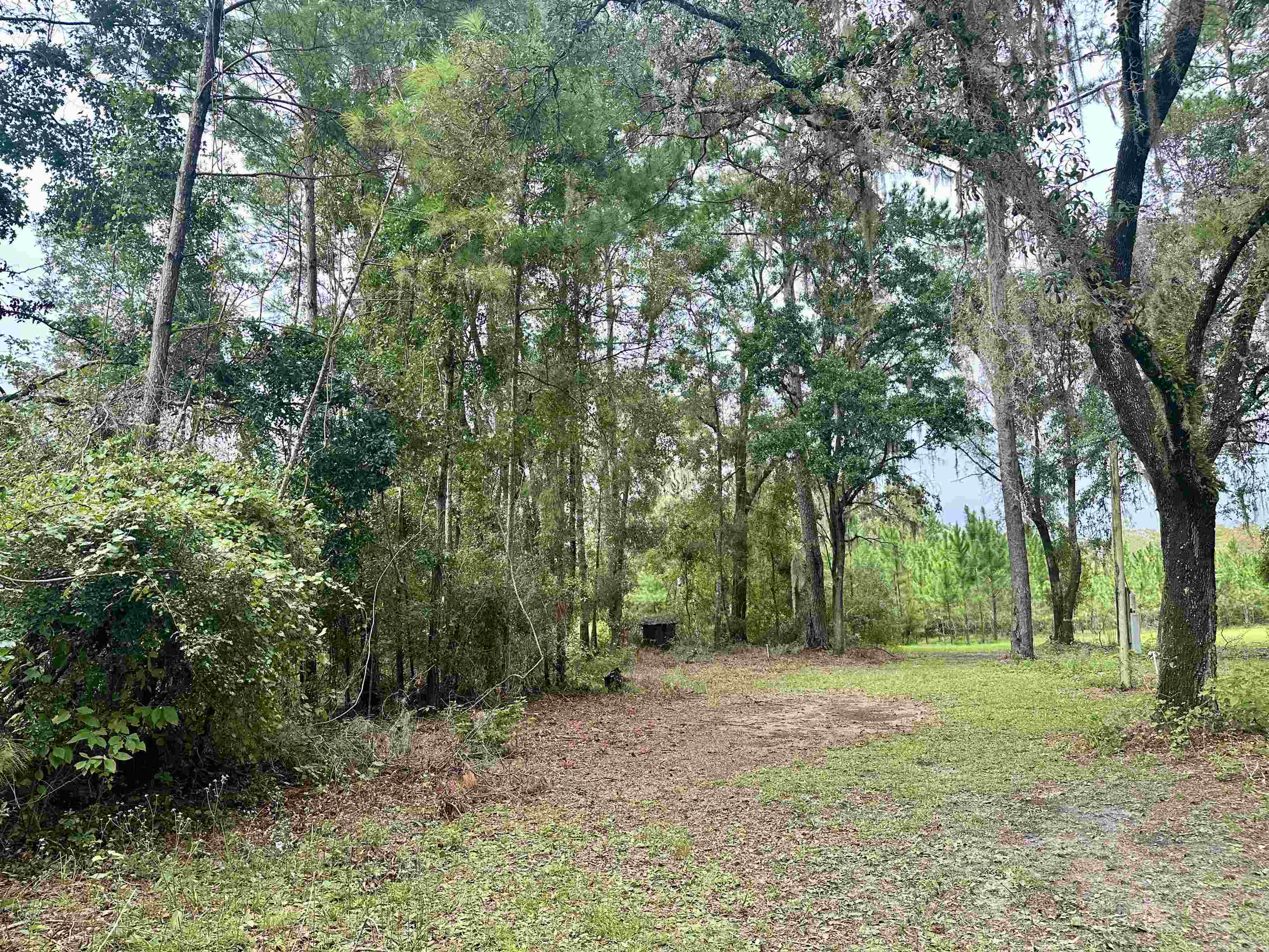 14190 Mt Gilead Road