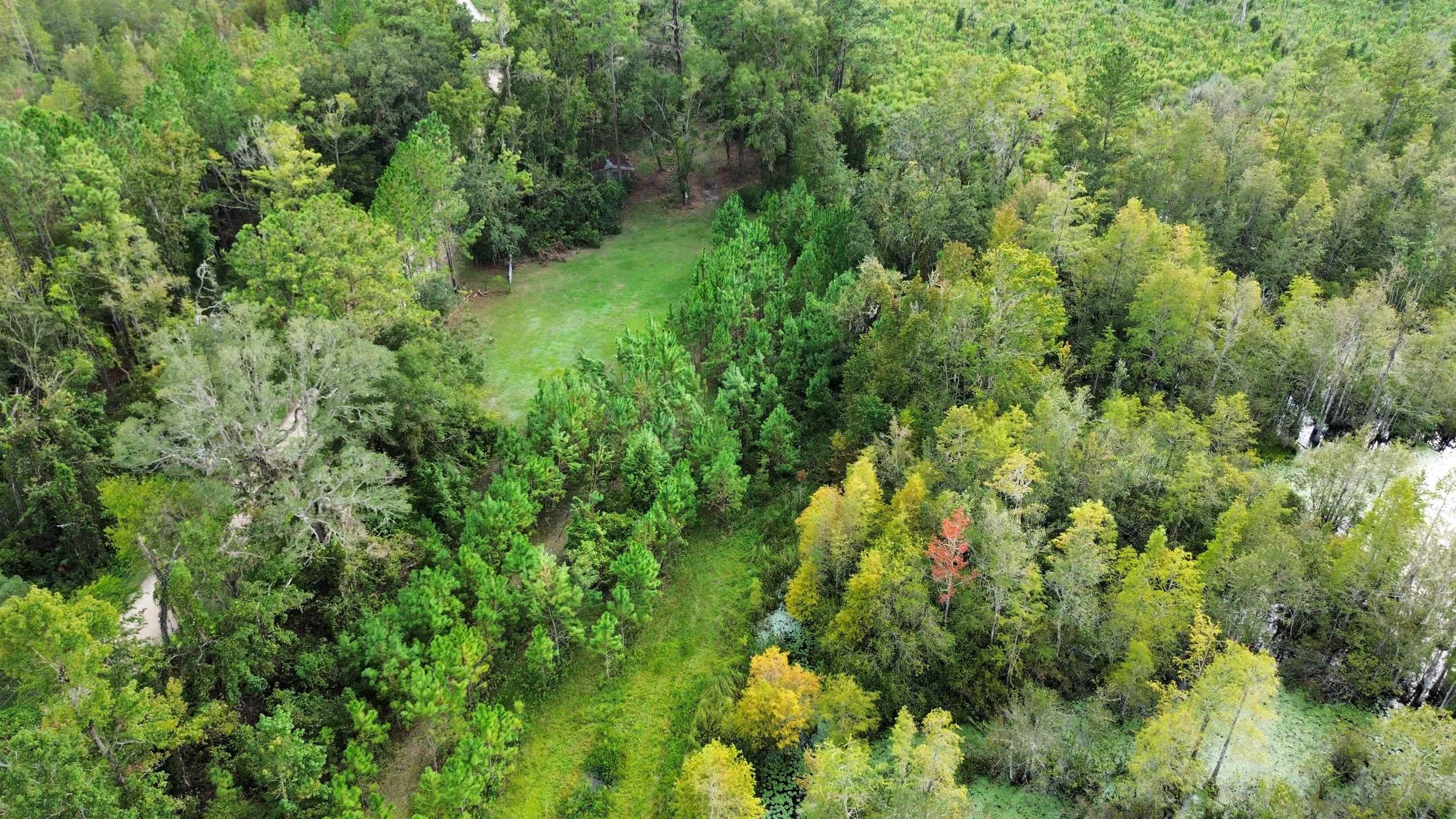 14190 Mt Gilead Road