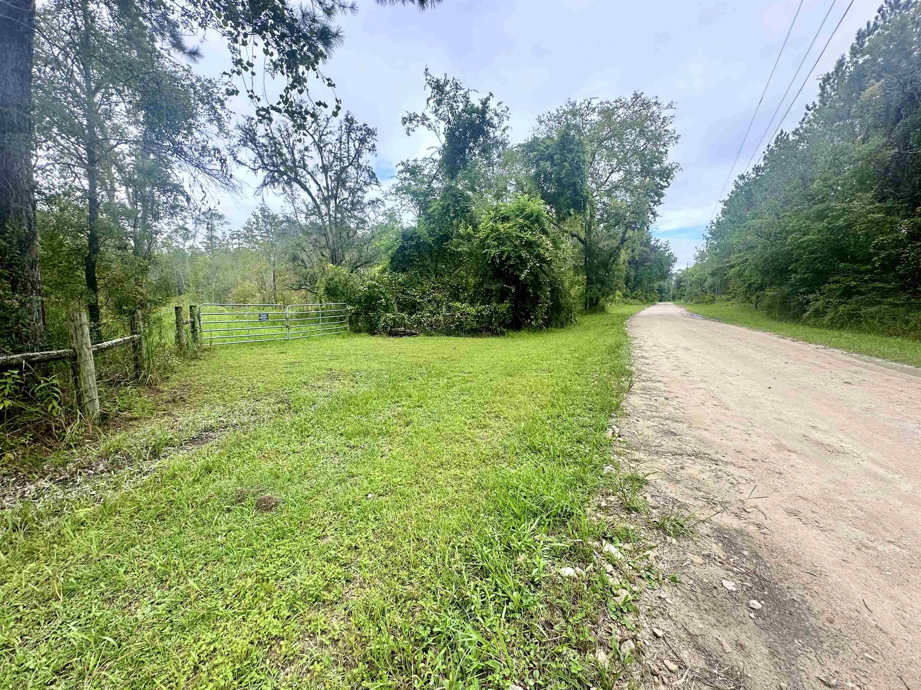 14190 Mt Gilead Road