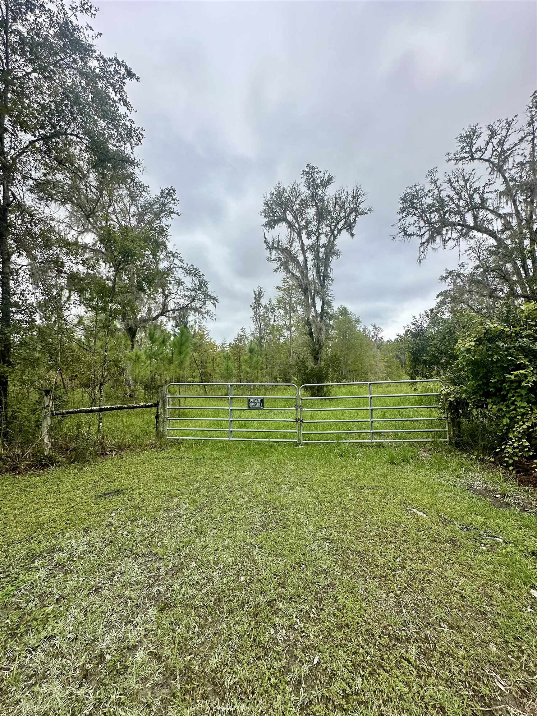 14190 Mt Gilead Road