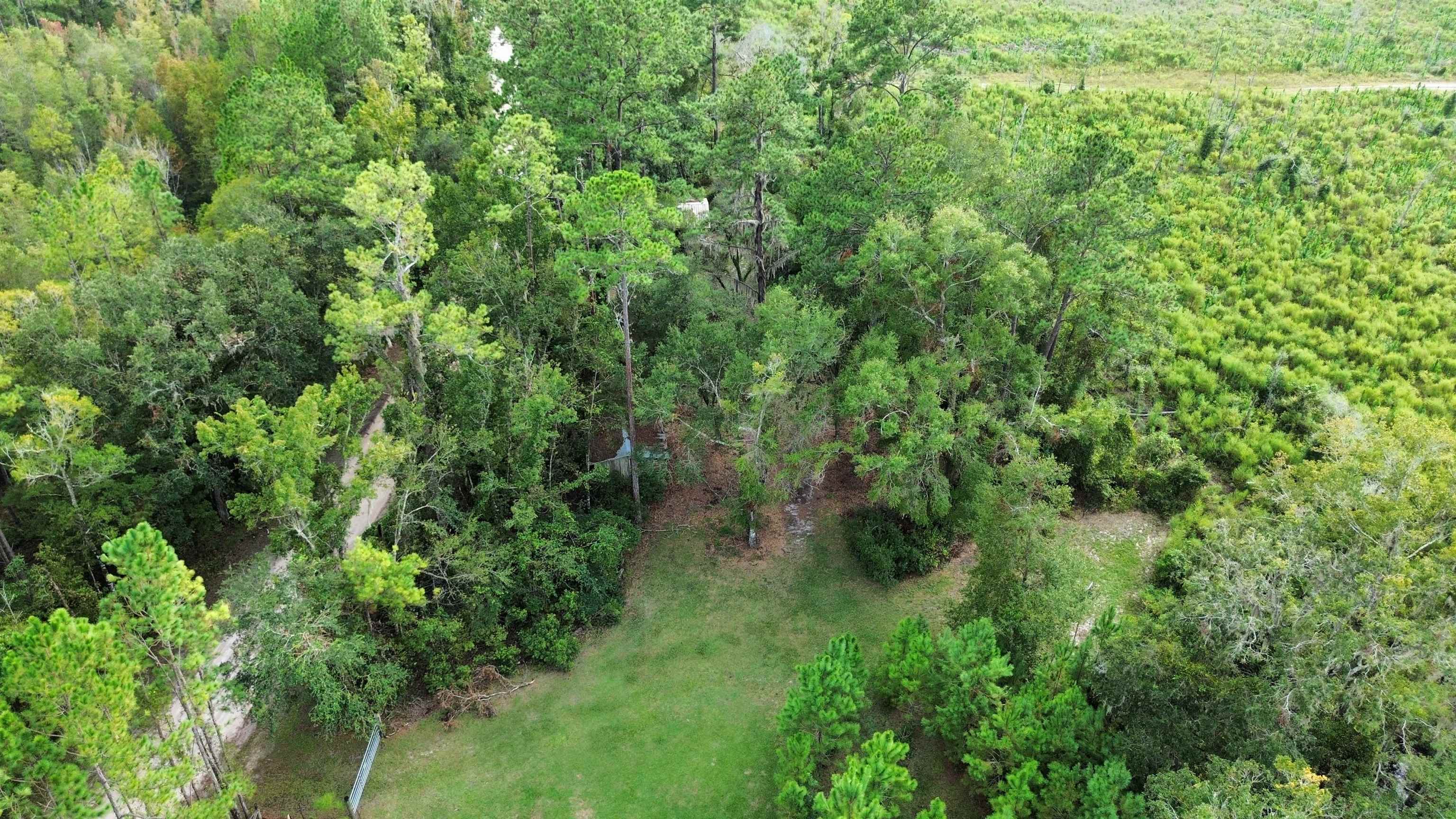 14190 Mt Gilead Road