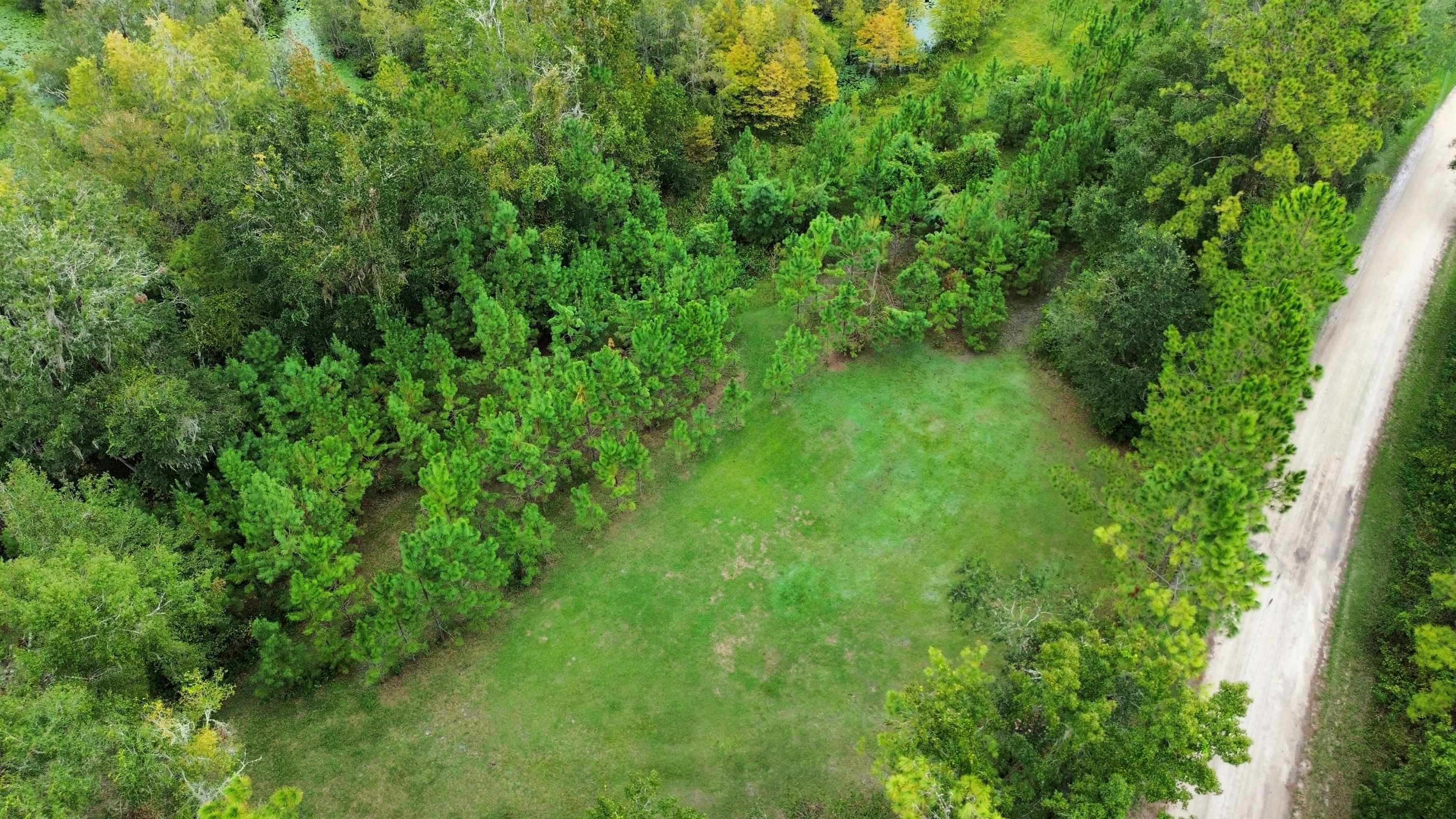 14190 Mt Gilead Road
