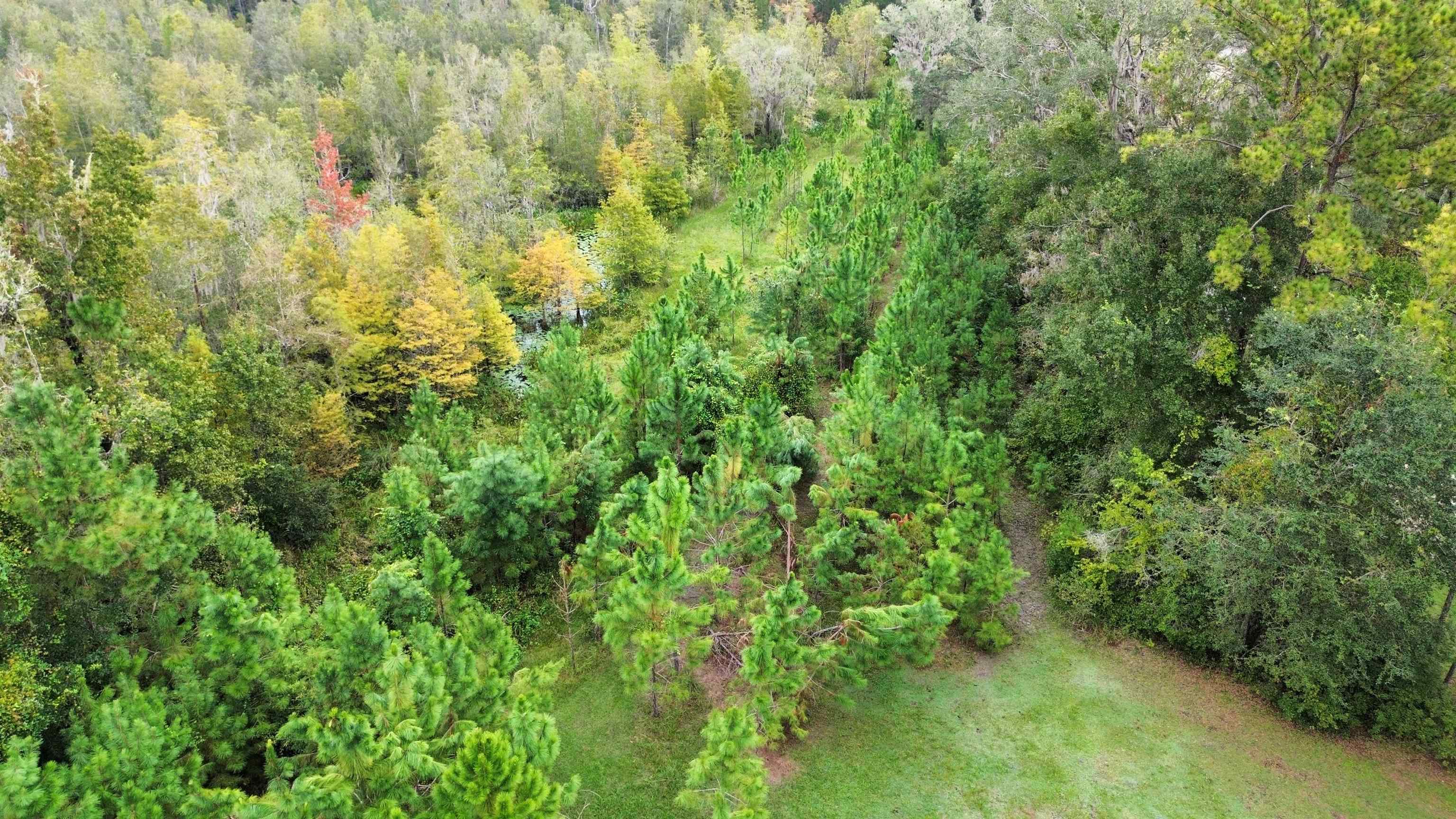 14190 Mt Gilead Road