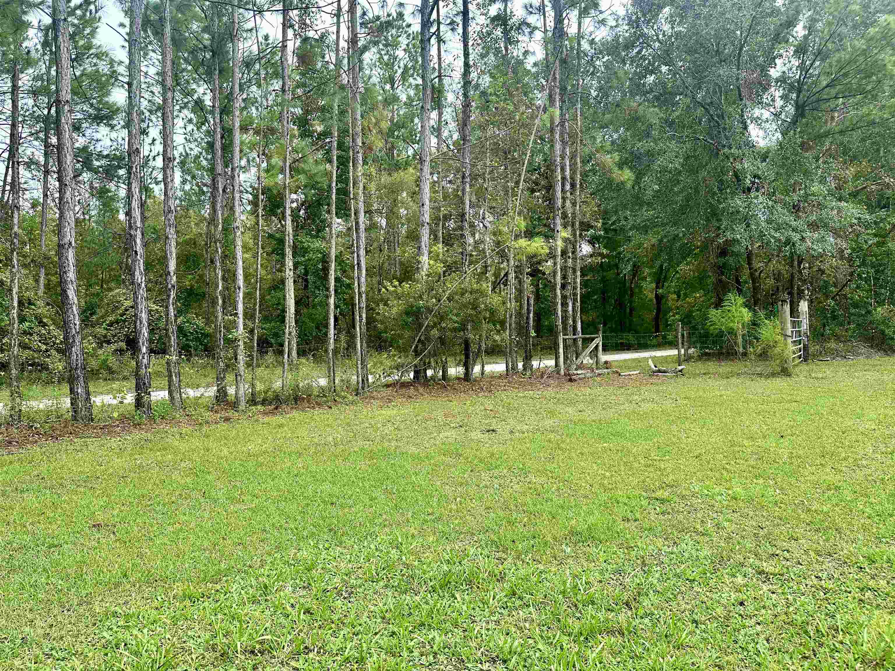 14190 Mt Gilead Road