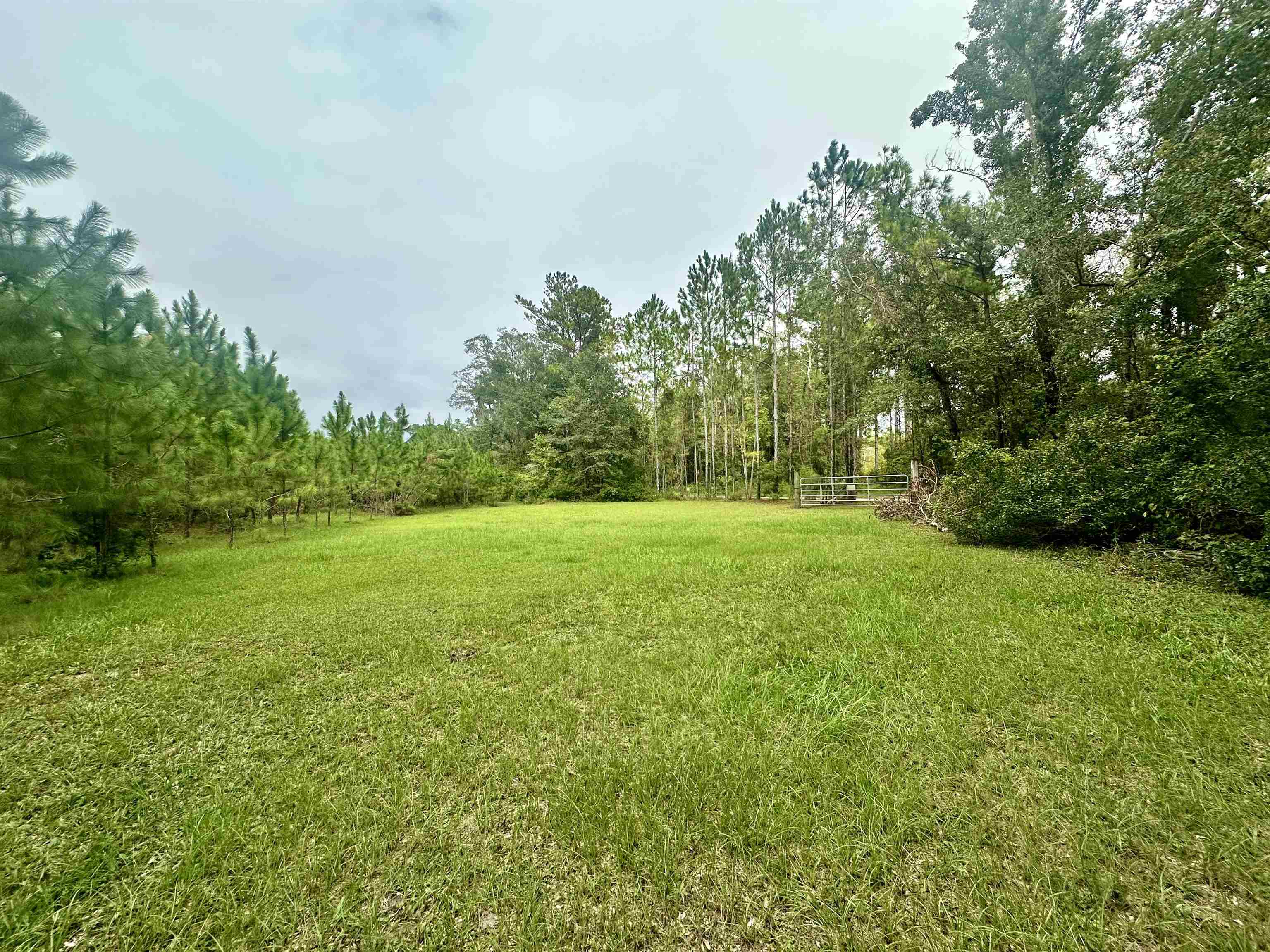 14190 Mt Gilead Road
