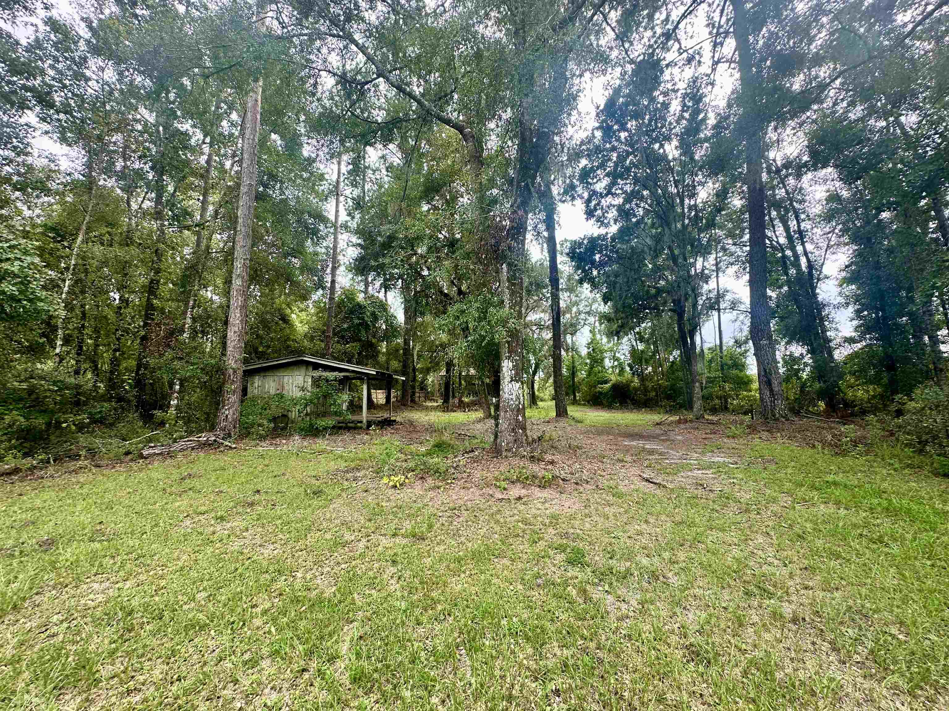 14190 Mt Gilead Road