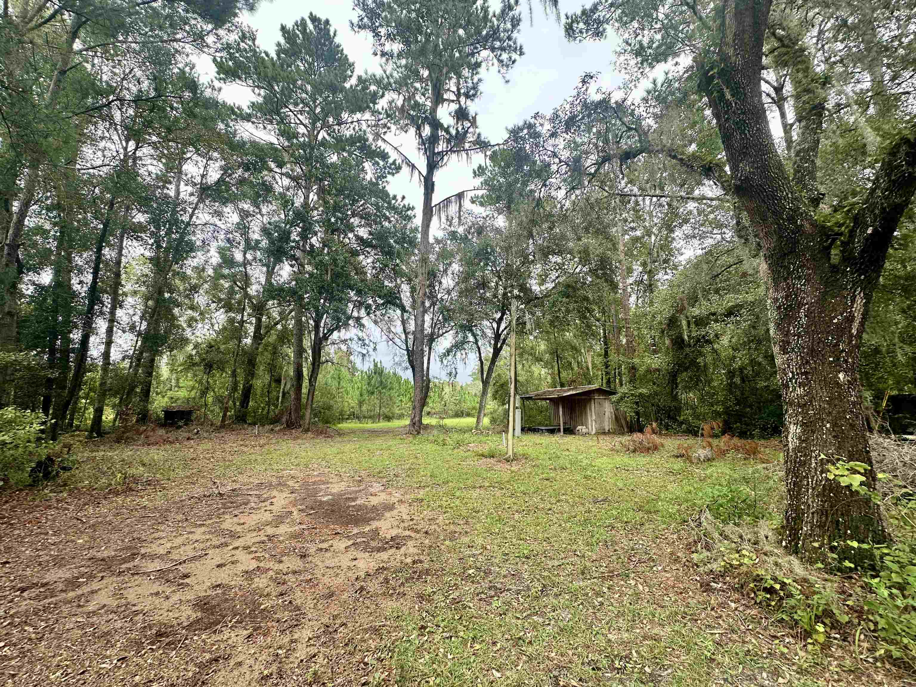 14190 Mt Gilead Road