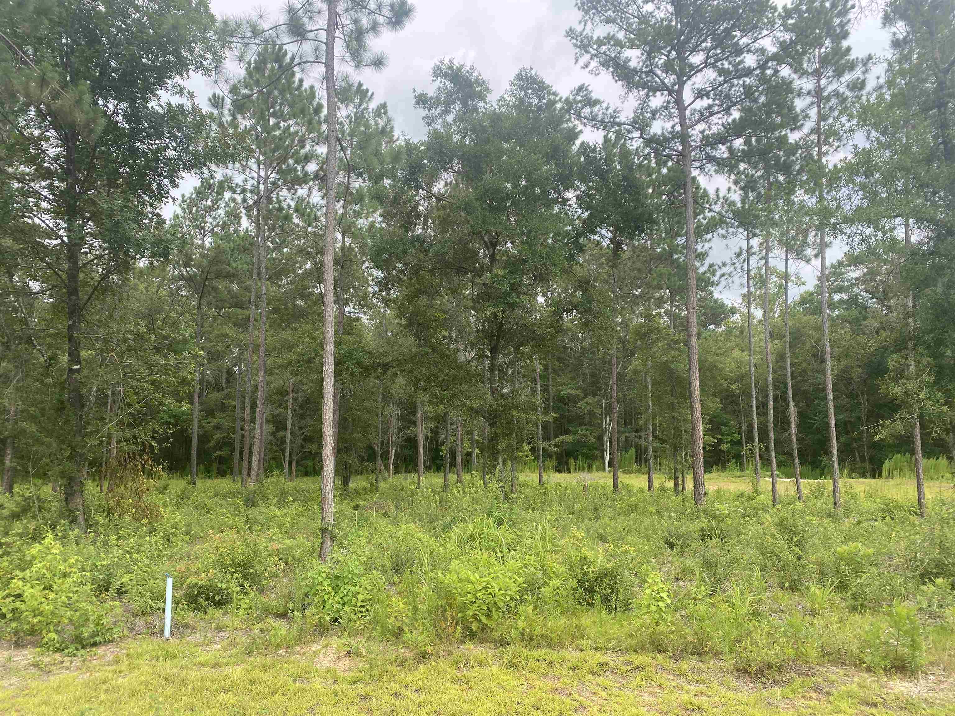 Lot 8 Porch Farm Way