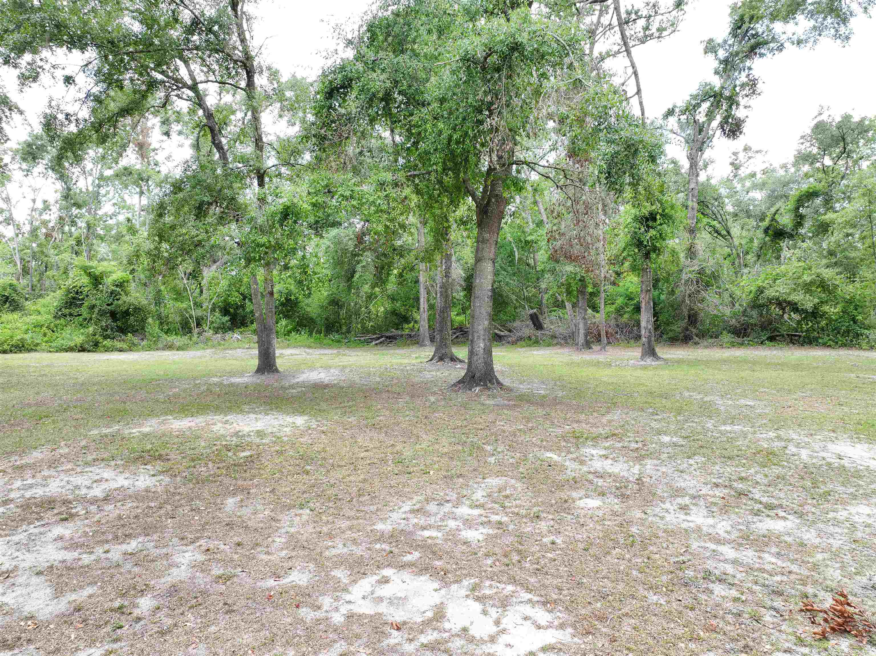 304 SW Georgiana Trail