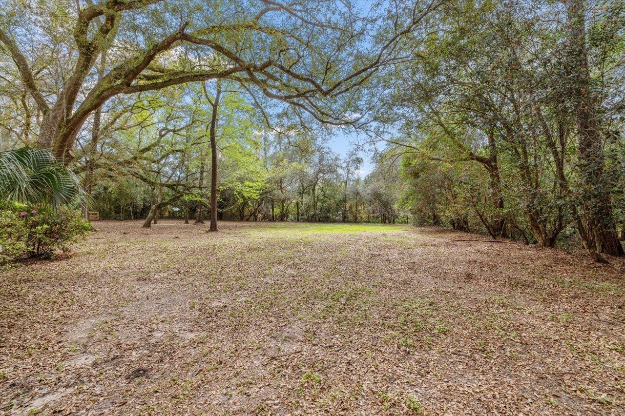2504 Napoleon Bonaparte Drive
