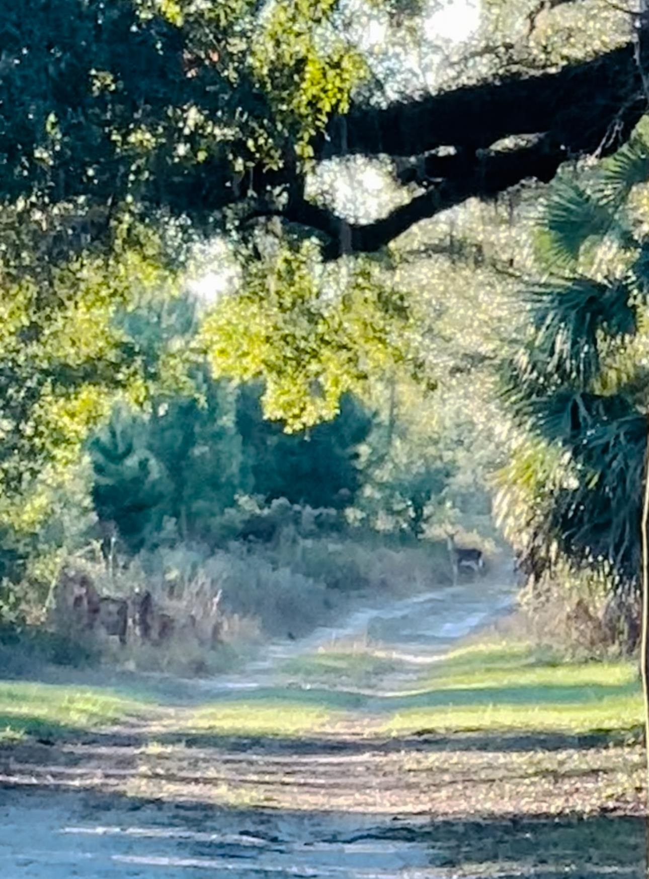 5061 Aucilla River Road