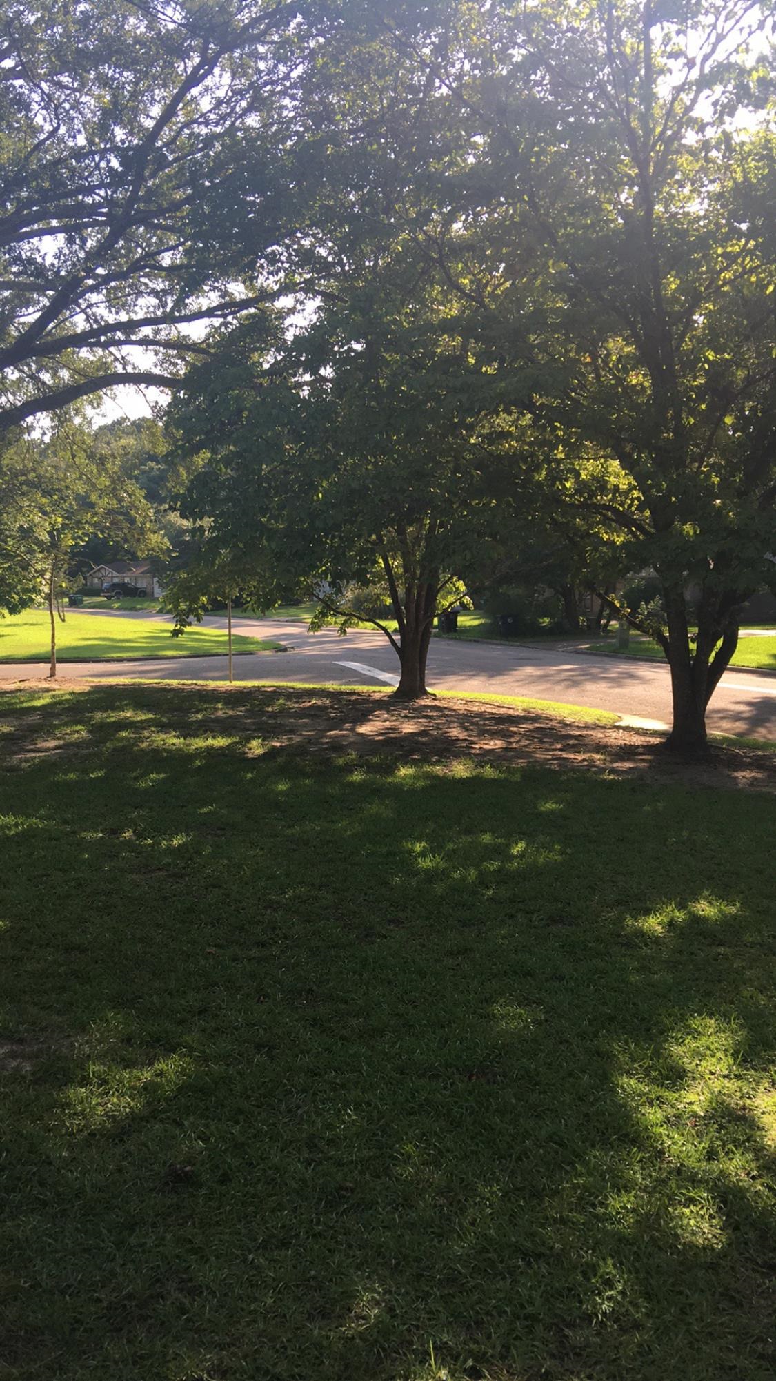 2321 Southampton Drive