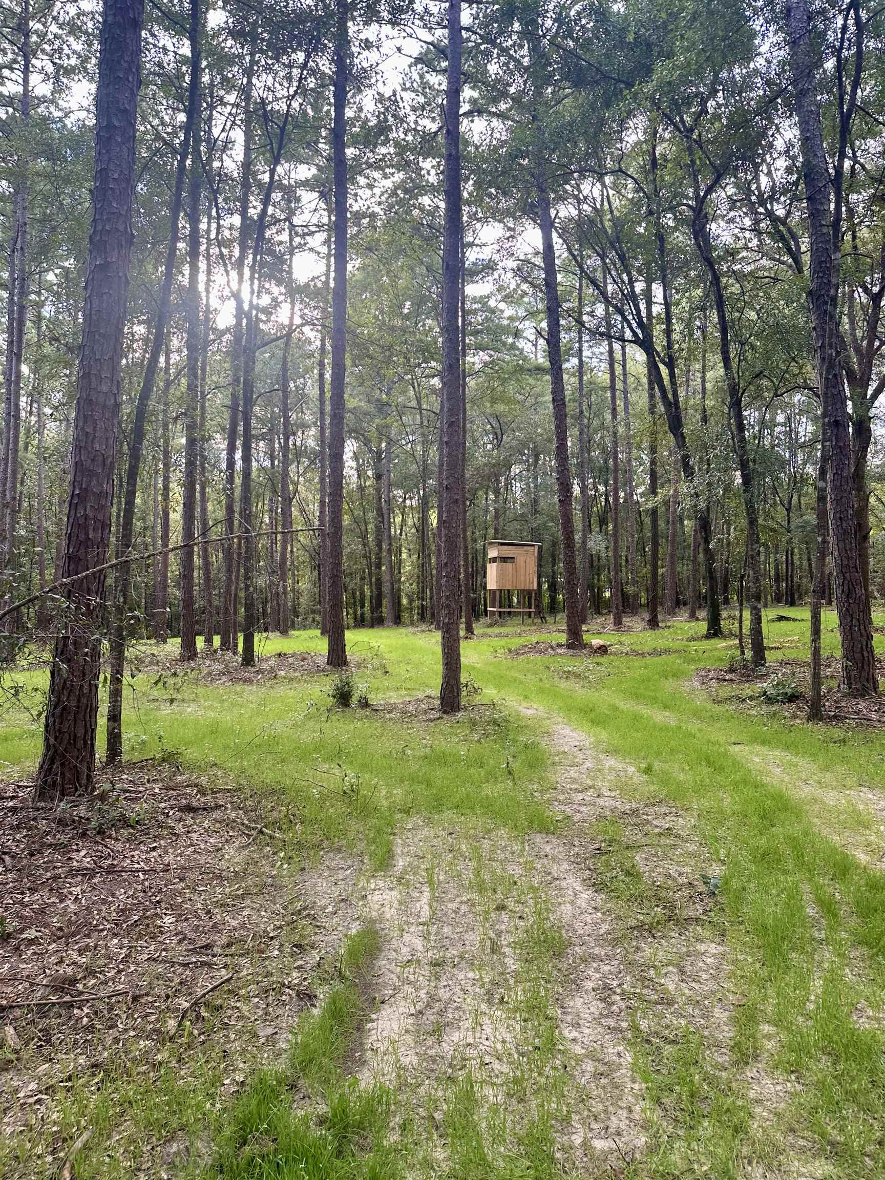 0 Wiley Road