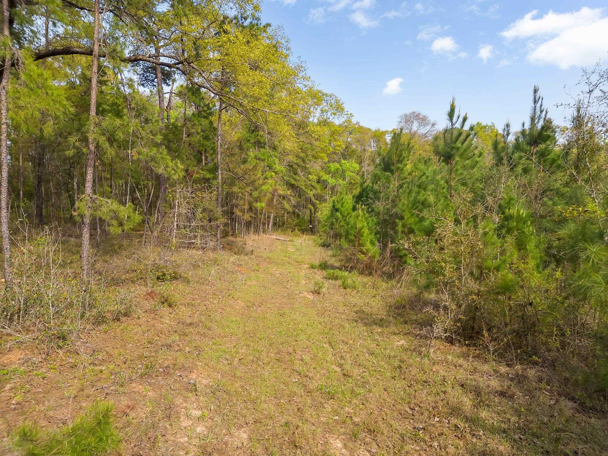 0 Wiley Road