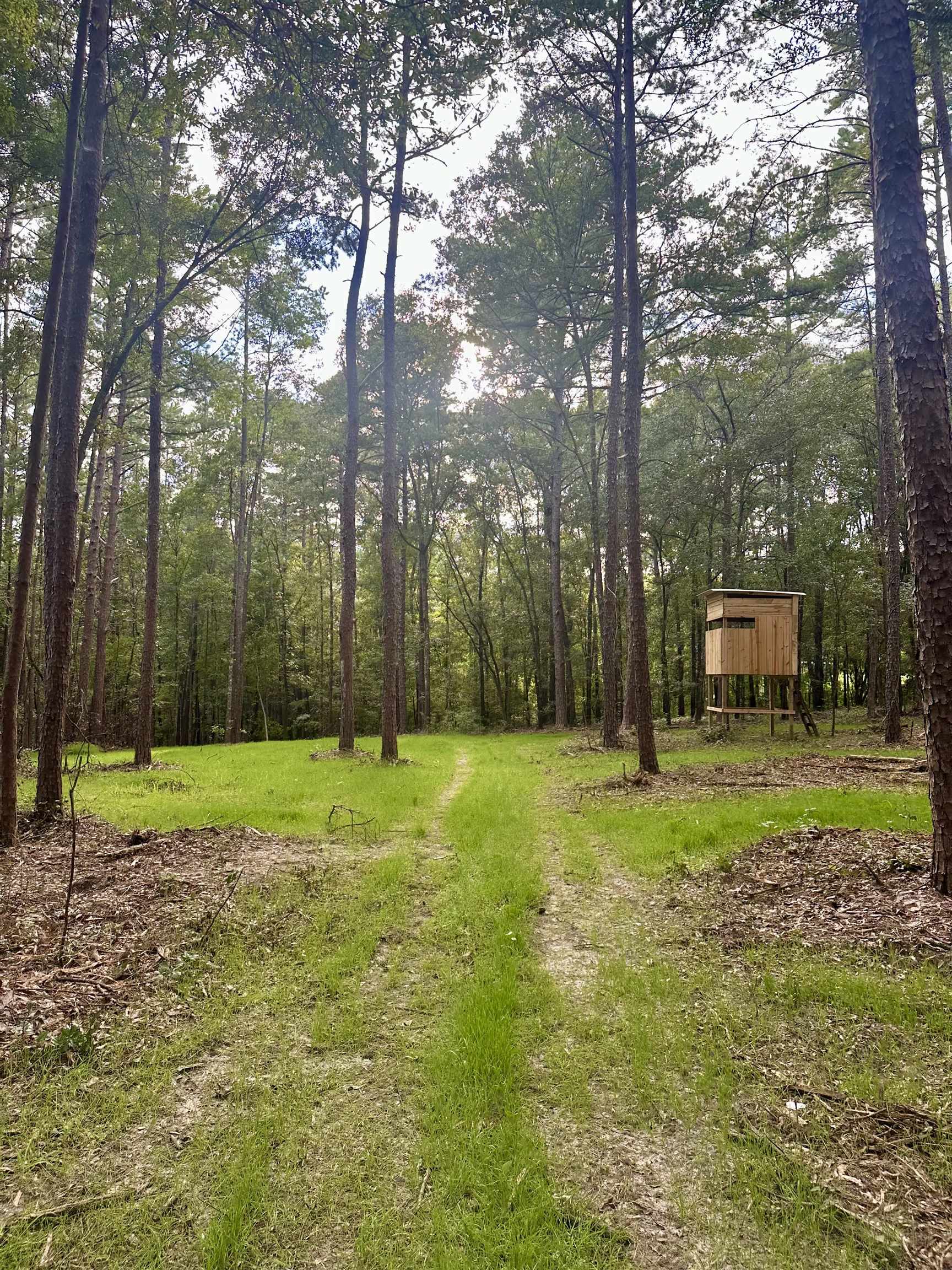 0 Wiley Road