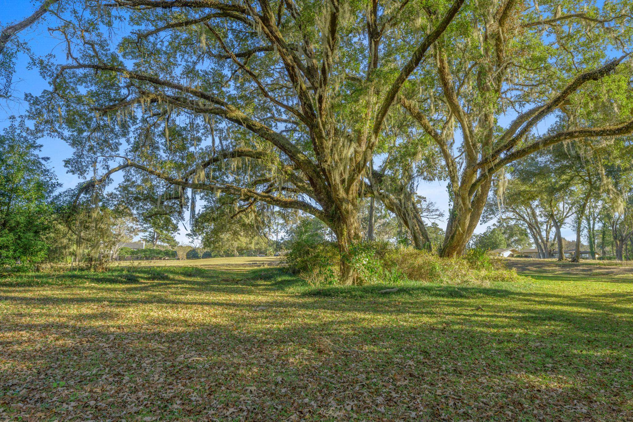 3908 Dunleer Court
