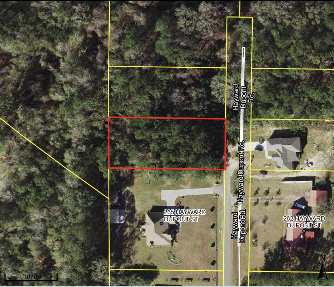 0 Hayward Dupont Road