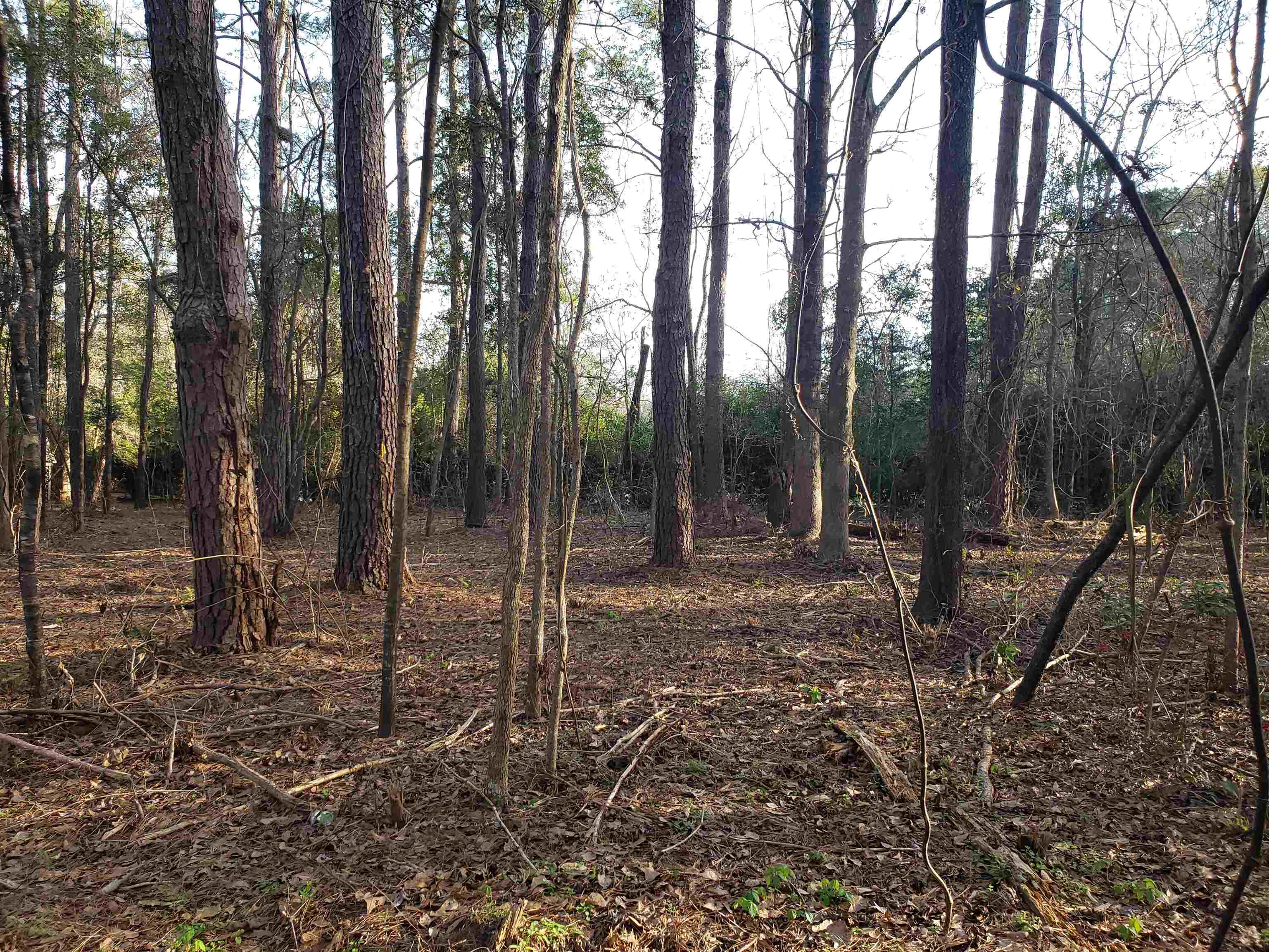 Lot 12 Charles Samuel Drive