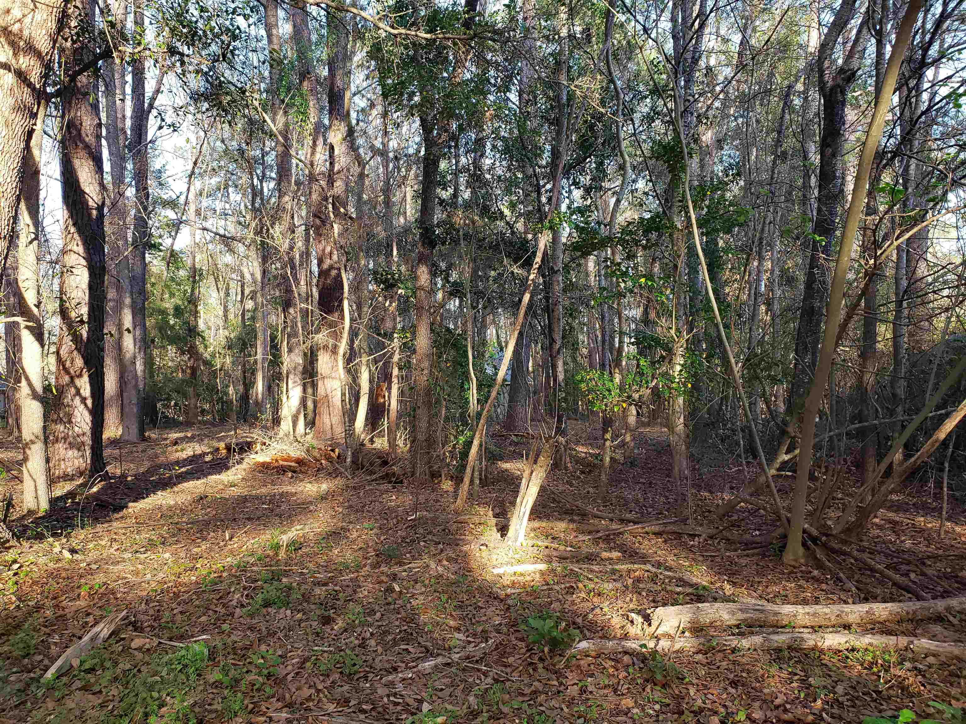 Lot 12 Charles Samuel Drive