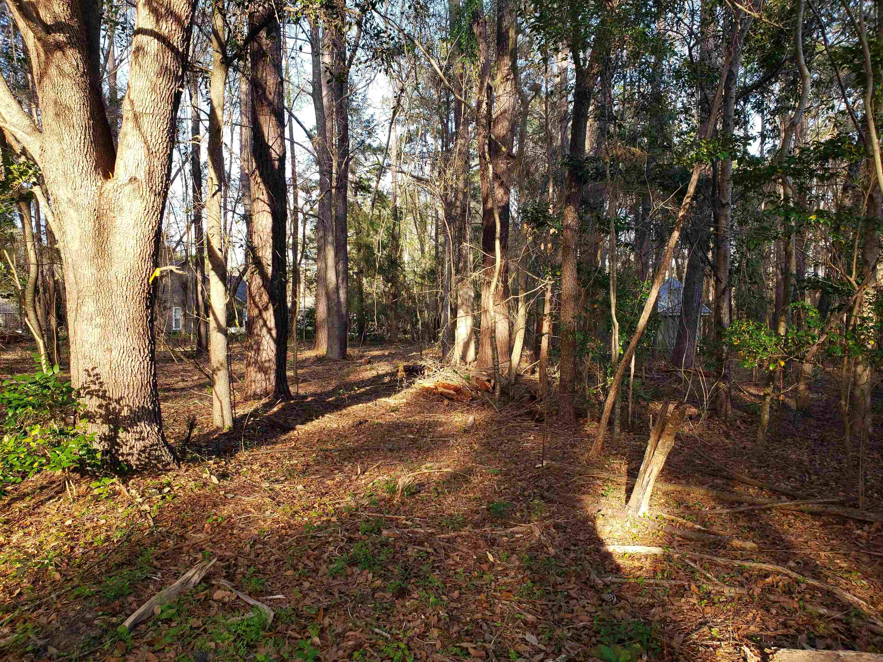 Lot 12 Charles Samuel Drive