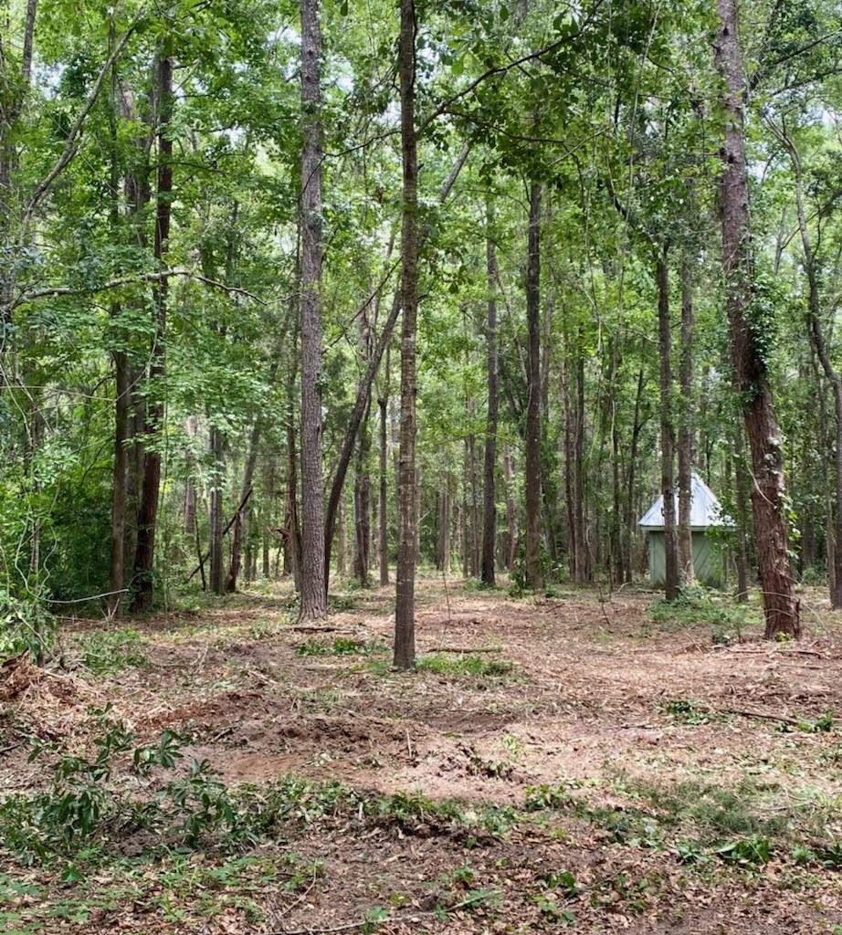 Lot 12 Charles Samuel Drive